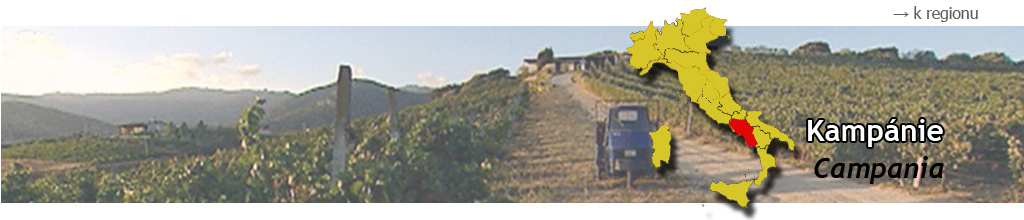 Kampánie Campania vinařská oblast